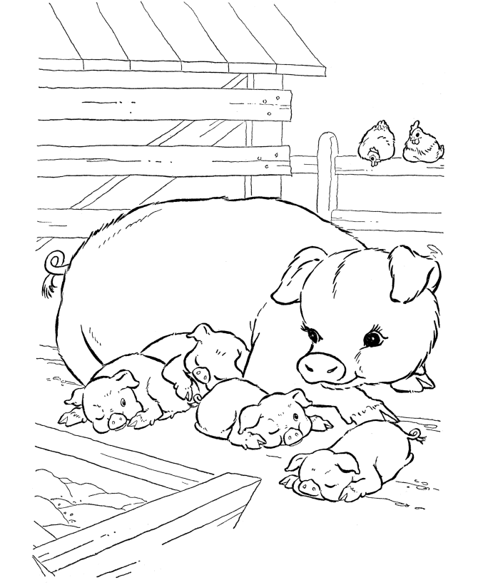 Farm Animal Coloring Pages