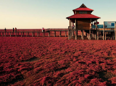 Panjin Red Beach