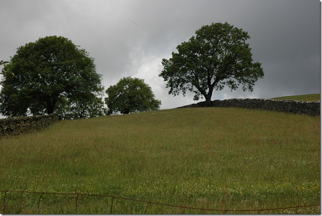 Pennines 173