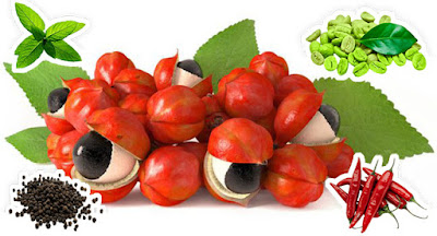 http://www.besthealthlab.com/best-garcinia-cambogia-review/