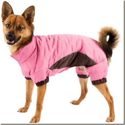 ropa para perros-d