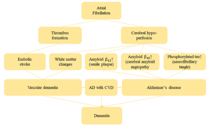 図：心房細動から認知症のメカニズム