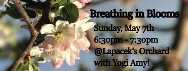 facebook-breathing-in-blooms