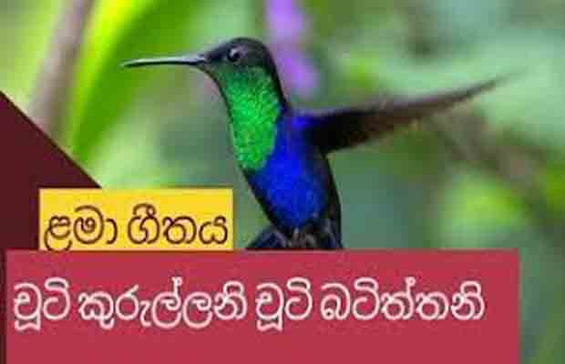 Chuti Kurullani Chuti Batiththani lyrics, Chuti Kurullani Chuti Batiththani chords, Chuti Kurullani Chuti Batiththani song chords, Lama Gee, Lama Geetha, Sinhala Lama Geem