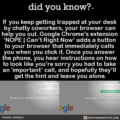 Interesting WTF Fun Facts That You Probably Didn't Know