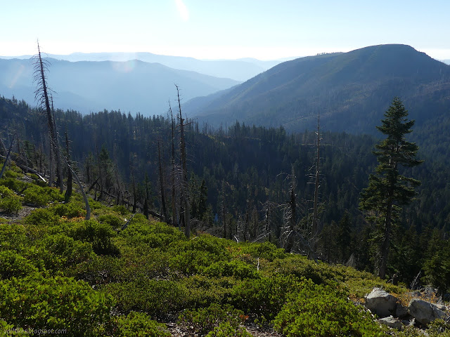 Baldy Peak over Harrington Lake