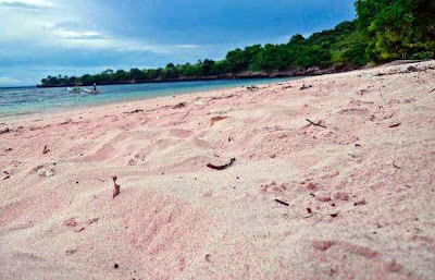 Bored alongside white sandy beaches together with dark Pink Beach inwards Indonesia