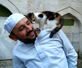 foto kucing di dalam masjid 01