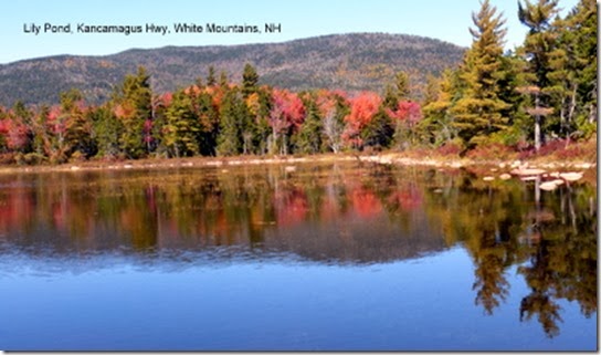 Lily Pond, Kancamagus Hwy, White Mountains, NH