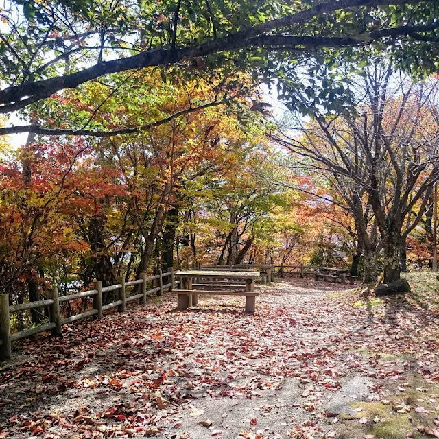 日本ロマンチック街道　菖蒲ヶ浜