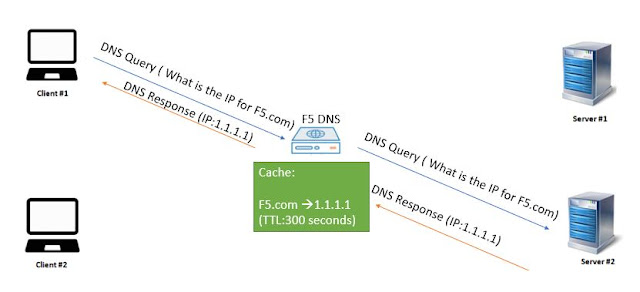 DNS Transparent Cache