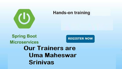 Springboot Microservices Training