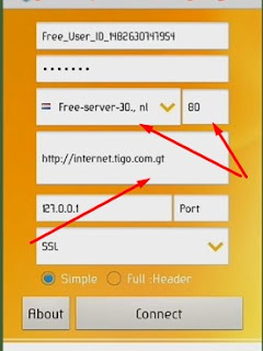 VPN Over HTTP Tunnel: WebTunnel.apk