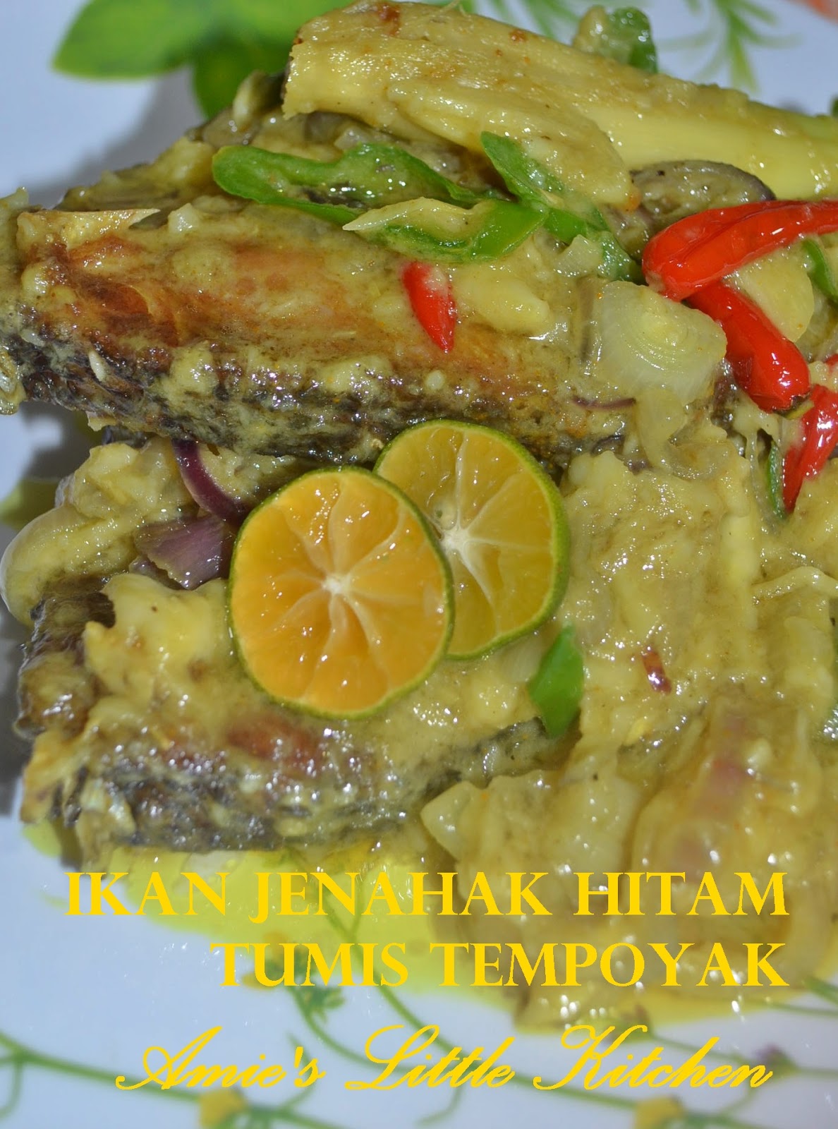 Resepi Asam Pedas Tempoyak Ikan Patin - 9 Descargar