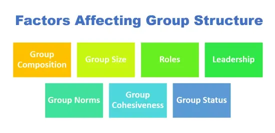 Factors Affecting Group Structure