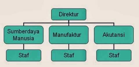 .: BUMN dan Fungsi Organisasi Fungsional dan Divisional