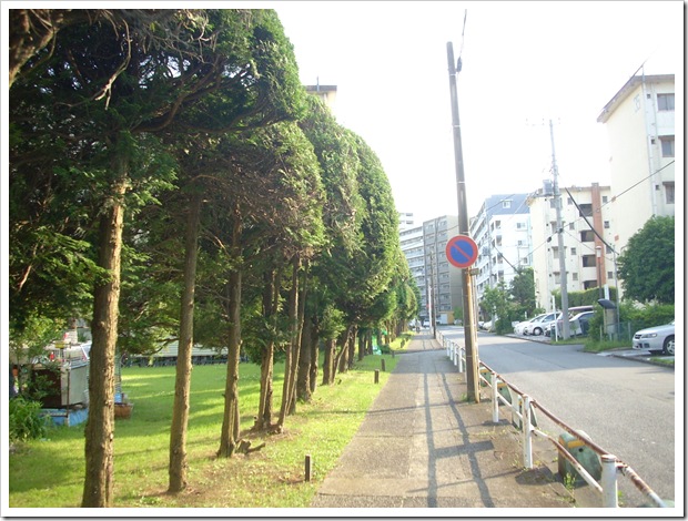 20120527_163743