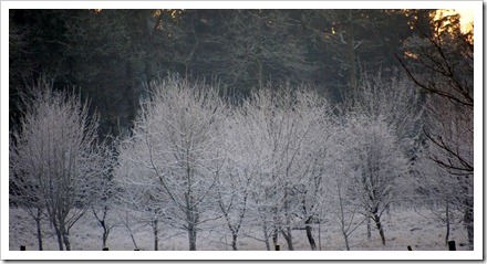 16 Jan 5 16-01-2012 16-44-13