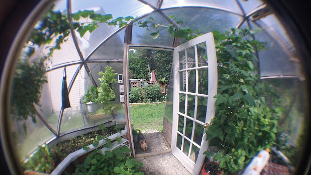 Geodesic Dome Greenhouse Door