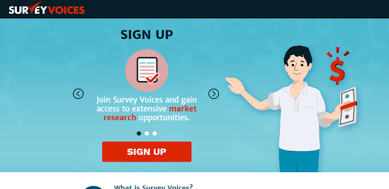 making money on survey voices ressearch