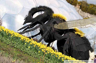 bombus the bee at eden project