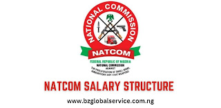 NATCOM Salary Structure for New Recruits in 2023-2024