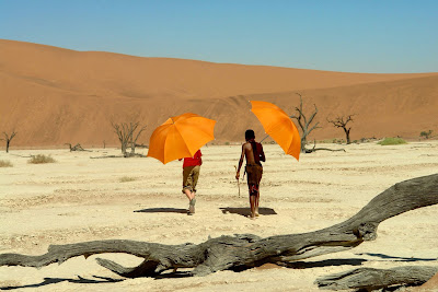 Viaje Mágico a África