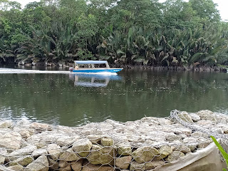 Pengembaraan Back To Nature-(Part 2: Pantai Jason Bay-Wetlands Kampung Belukar Durian)