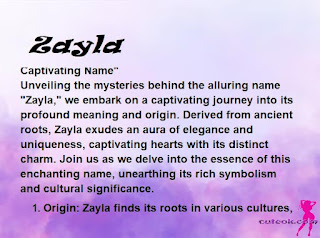 meaning of the name "Zayla"