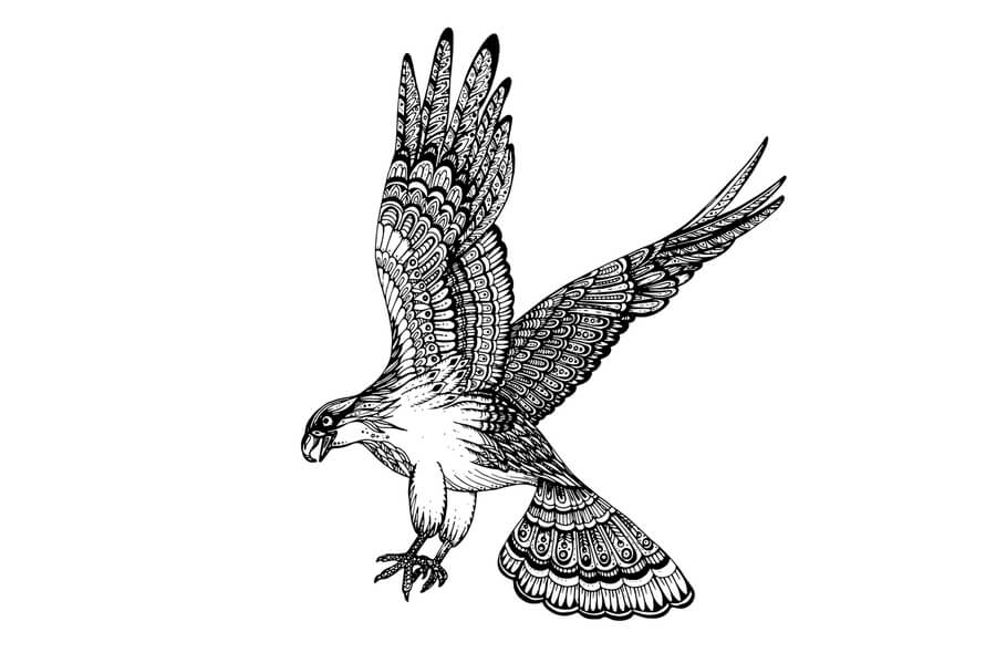 06-The-Eagle-Zentangle-Animals-Nadezhda-Molkentin-www-designstack-co