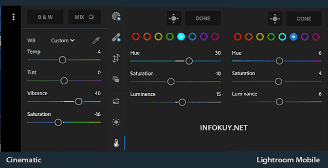 COLOR & MIX - Rumus Lightroom Cinematic