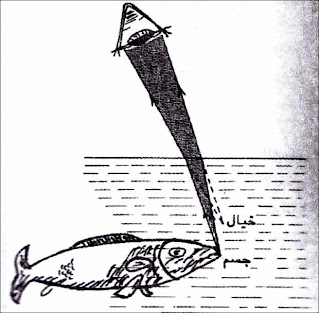 ظاهرة الانكسار، هي التي تمكّننا من رؤية سمكة في ماء غير عميق، قريبة جدا من سطح الماء ممّا هي عليه