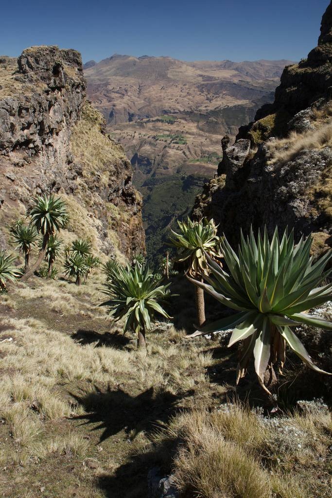 etiopia-deubandeira-03