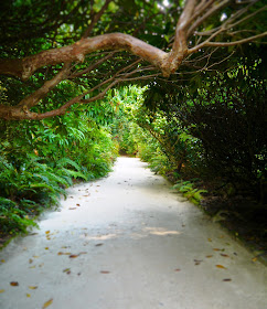 The Lost Gardens of Heligan, Cornwall