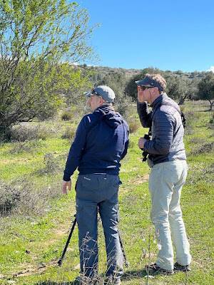 Birdwatching in Athens