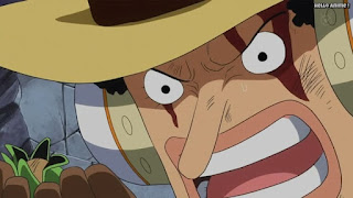 ワンピースアニメ ドレスローザ編 672話 ウソランド | ONE PIECE Episode 672