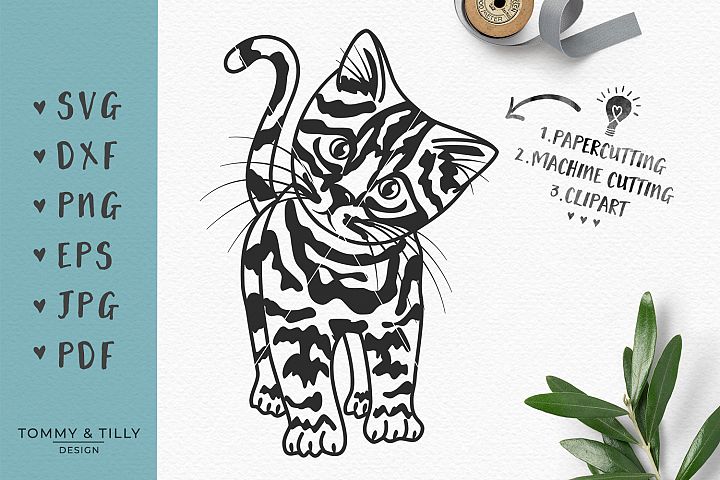 Download Free Lady Mandala Svg Project - Free Layered SVG Files
