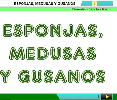 https://cplosangeles.educarex.es/web/cuarto_curso/naturales_4/esponjas_medusas_gusanos_4/esponjas_medusas_gusanos_4.html