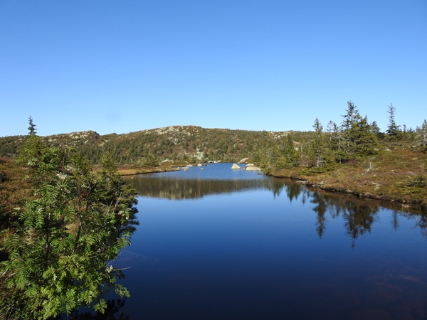 Gyranfisen svarttjernkollen vikerfjell steintjern