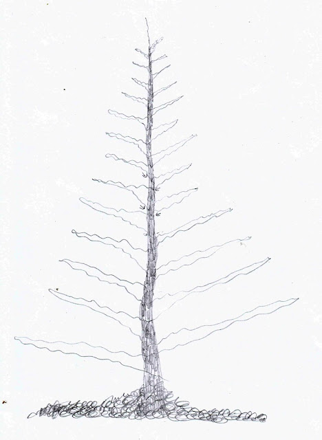 Weekly : Doodles and tuts: Drawspace: Lesson D06 - How to draw a Spruce