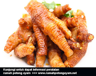 peralatan rumah potong ayam