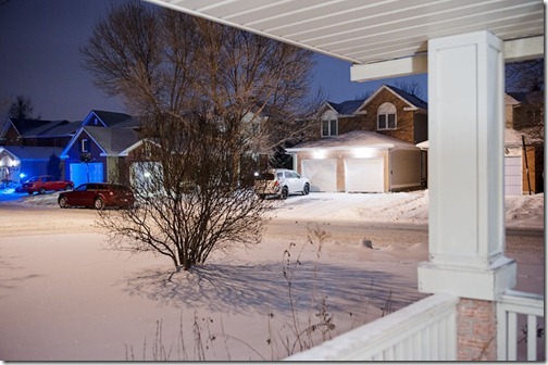 DSC_7291_front_yard