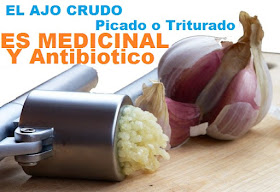 El ajo crudo picado o triturado es medicinal y antibiotico