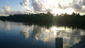 hutan-mangrove-mata-lalang-selayar