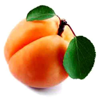 benefits_of_eating_apricots_fruits-vegetables-benefits.blogspot.com(10)