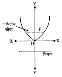 Solutions Class 11 गणित-II Chapter-11 (शंकु परिच्छेद)