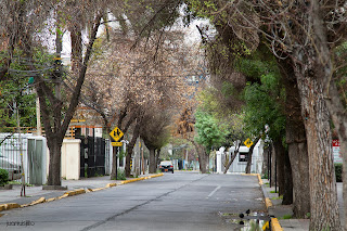 Calle de Providencia sin coches aparcados