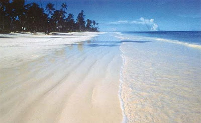 Beautiful Beach On The Island Of Zanzibar