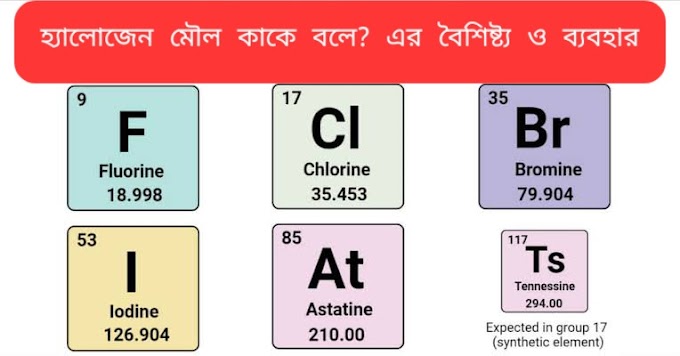 হ্যালোজেন (Halogen) কি ও কাকে বলে? হ্যালোজেন এর উদাহরণ, বৈশিষ্ট্য ও ব্যবহার