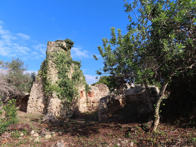 Altafulla - Vil.la romana dels Munts / Villa romana dels Munts